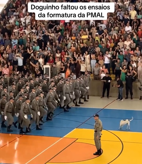 Mesmo com a plateia lotada que acompanhavam a solenidade, o cãozinho vira-lata não demonstrava a menor preocupação com a multidão e seguida perseguindo o próprio rabo.