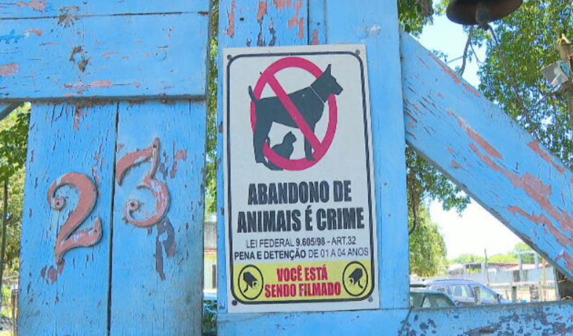 Vale lembrar que o abandono de animais é crime no Brasil.  A Lei 9.605/98, artigo 32, prevê pena para quem comete  maus-tratos aos animais: três meses a um ano de detenção. Recentemente a pena para violência contra cães e gatos, aumentou de 2 a 5 anos de prisão. A pena é aumentada de um sexto a um terço se o crime causar a morte do animal.