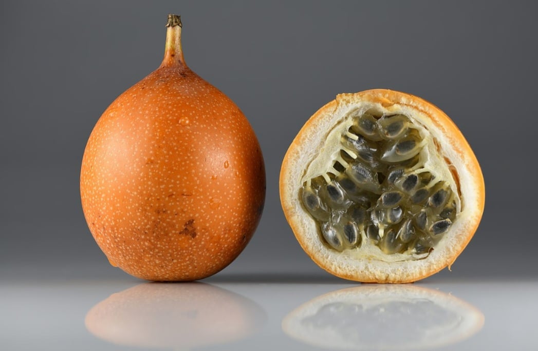 Granadilha (Passiflora ligularis) - Chamada de maracujá-doce, é nativa das regiões montanhosas da América do Sul, especialmente dos Andes, abrangendo  Colômbia, Equador, Peru, Bolívia e Venezuela.  A granadilha prefere climas tropicais de altitude, com temperaturas amenas e sem geadas,  entre 1.000 e 2.500 metros.