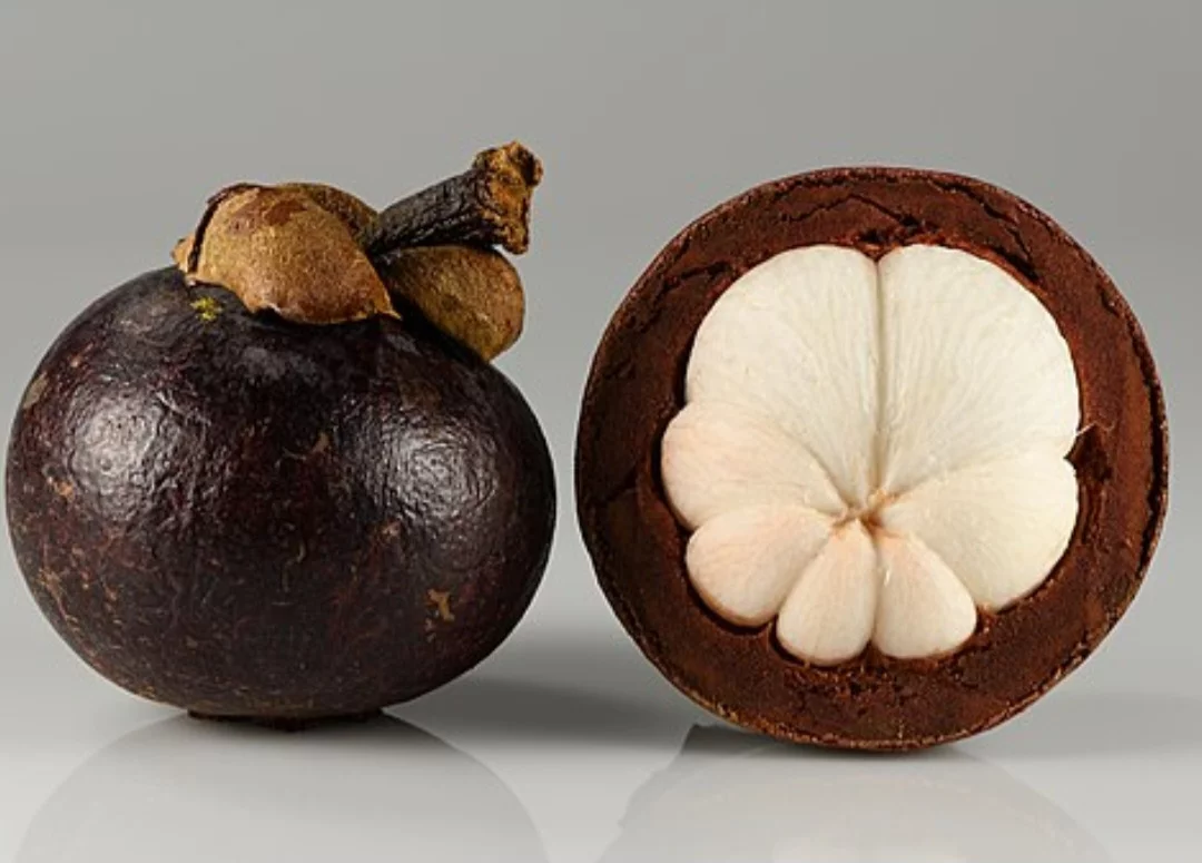 Mangostão (Garcinia mangostana) - Também chamada de mangostim, é uma fruta tropical originária do Sudeste Asiático, especialmente da região da Malásia, Indonésia e Tailândia. É conhecido como a rainha das frutas por sua aparência elegante e sabor requintado. 