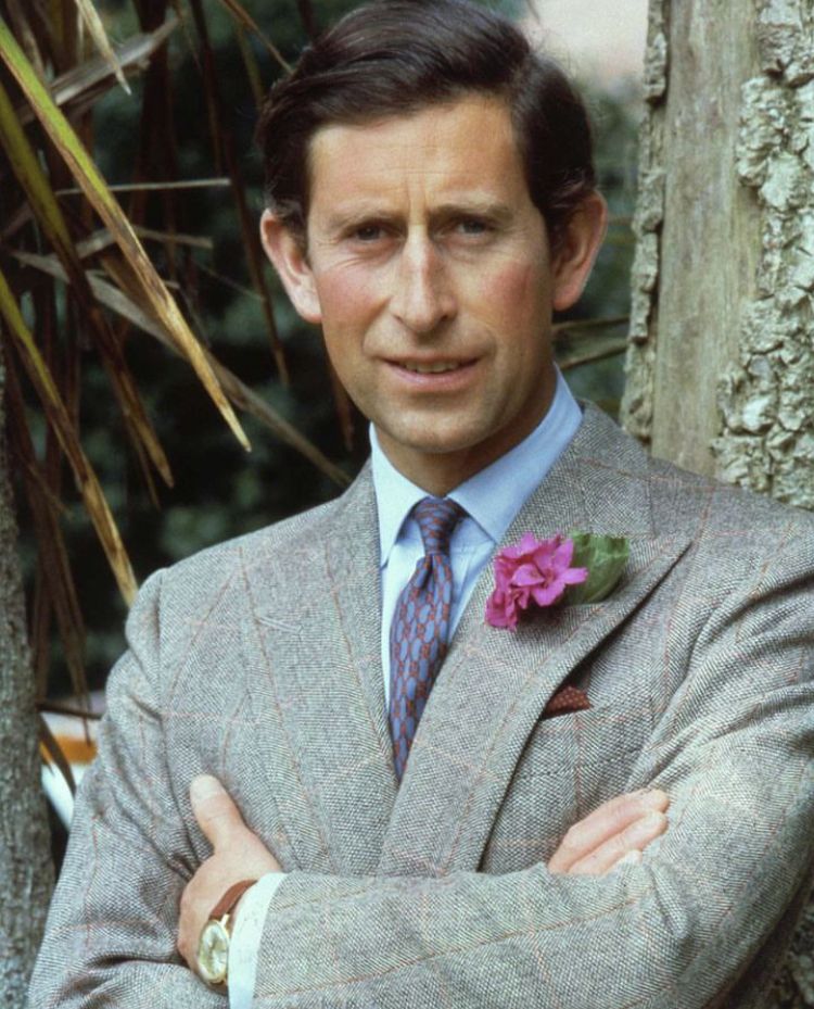 Charles III também possui projetos no ramo da medicina alternativa. Em 2006, ele causou polêmica ao discursar na Assembleia Mundial da Saúde, dizendo ser urgente a integração entre a medicina convencional e as alternativas.