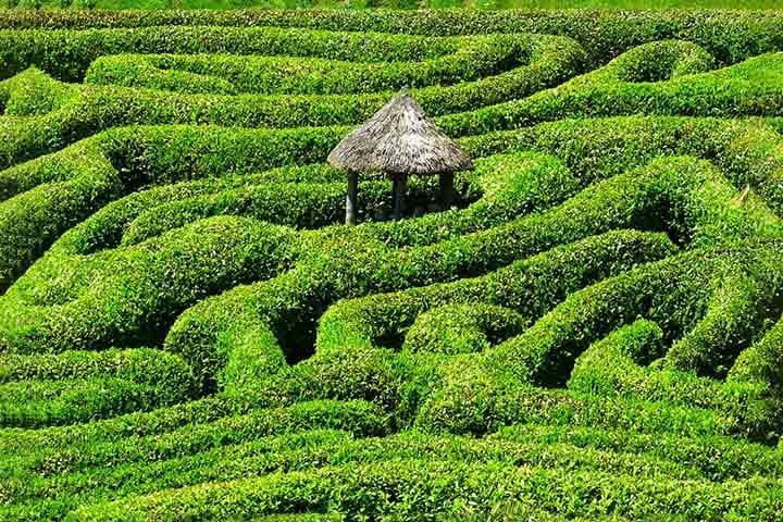 Glendurgan Garden é um jardim do National Trust situado acima do vilarejo de Durgan, no rio Helford e perto de Mawnan Smith , na freguesia de Mawnan, Cornualha , Inglaterra , Reino Unido. O jardim é notável por um labirinto de louro cereja , criado em 1833.
