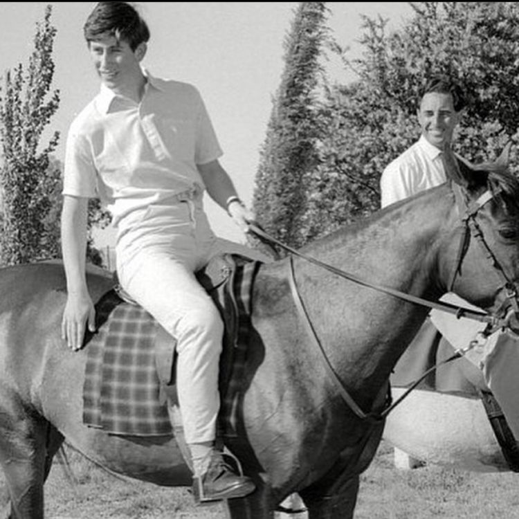 Charles foi praticante de polo até meados de 1992. Por conta do esporte, ele chegou a quebrar o braço em 1990 e a ficar inconsciente depois de cair do seu cavalo em 2001!