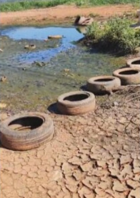 A conscientização da população para medidas preventivas simples continua tendo papel essencial. Cada cidadão deve agir para não deixar água parada (como em pneus e em vasos de plantas), tampar caixas d´água e reservatórios e fazer o descarte correto do lixo.  
