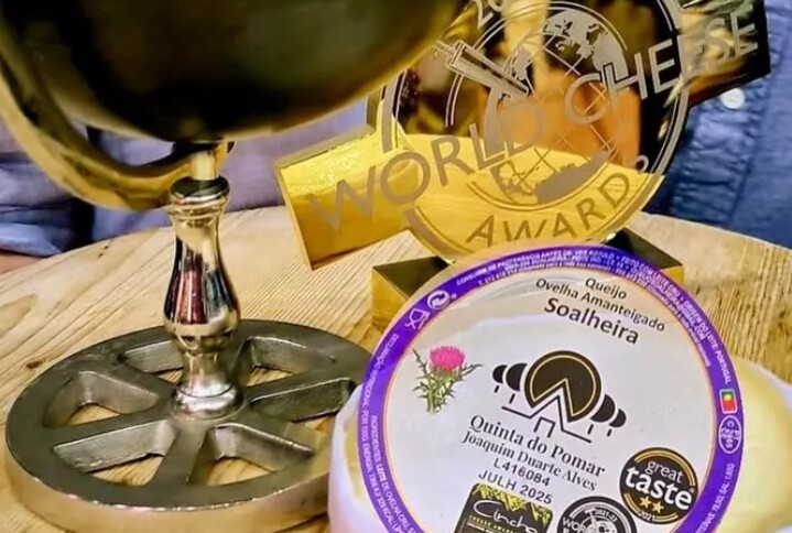 O vencedor do prêmio, eleito o melhor queijo do mundo em 2024, foi o Queijo de Ovelha Amanteigado, produzido pela Quinta do Pomar, na freguesia de Soalheira, em Portugal. 
