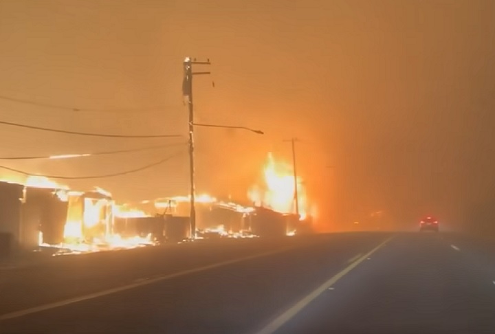 A polícia emitiu uma ordem de retirada para a área ao redor do parque, incluindo partes da famosa Hollywood Boulevard, onde estão localizados diversos pontos turísticos.