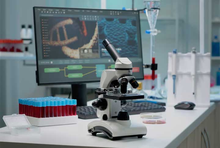 Segundo os especialistas, essa proteína teve uma grande contribuição, chegando a formar partes importantes em diversas regiões do corpo, incluindo cérebro e coração.