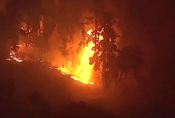Estamos enfrentando um desastre natural histórico. E acho que isso não pode ser enfatizado o suficiente, afirmou Kevin McGowan, diretor de gestão de emergências do Condado de Los Angeles.