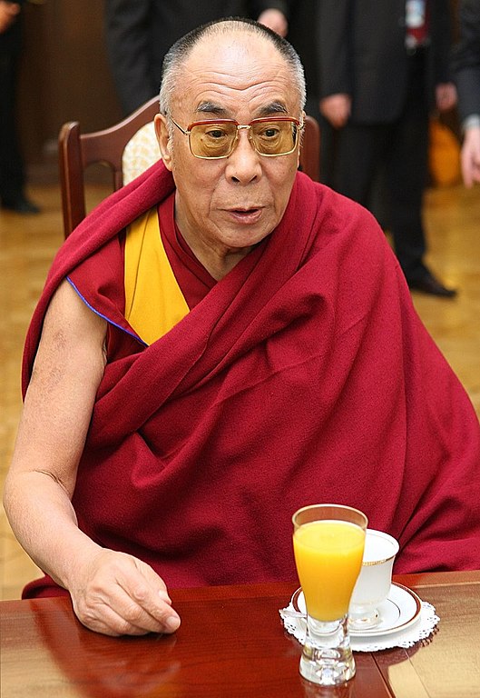 O Dalai Lama, líder espiritual do Tibete, expressou profunda tristeza pelas dezenas de mortos e feridos em um terremoto no Himalaia, na fronteira da região autônoma da China com o Nepal. O fenômeno natural causou ainda a destruição de mais de mil moradias.
