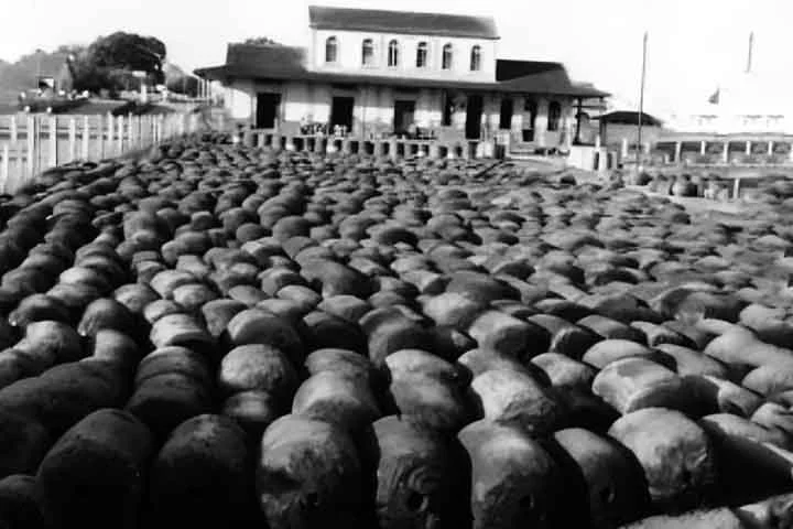 Entre 1879 e 1912, a Amazônia viveu o Ciclo da Borracha, um período de grande riqueza gerado pela exploração do látex. Cidades como Manaus e Belém prosperaram como centros econômicos.