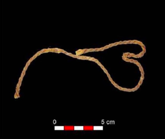 As cordas, feitas com tendões de corças, cabras e javalis, são as mais antigas já registradas na Europa.