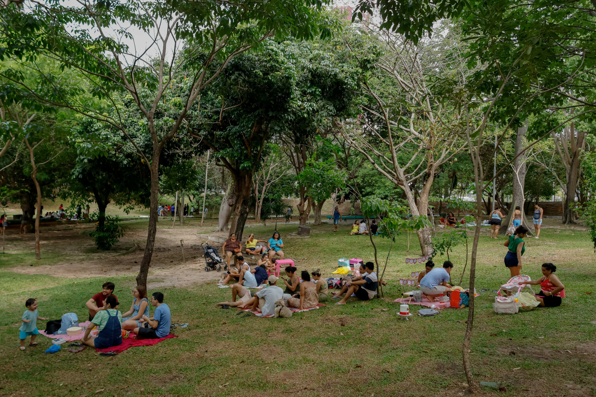 Foto de apoio ilustrativo. Férias no Parque do Cocó em 2025