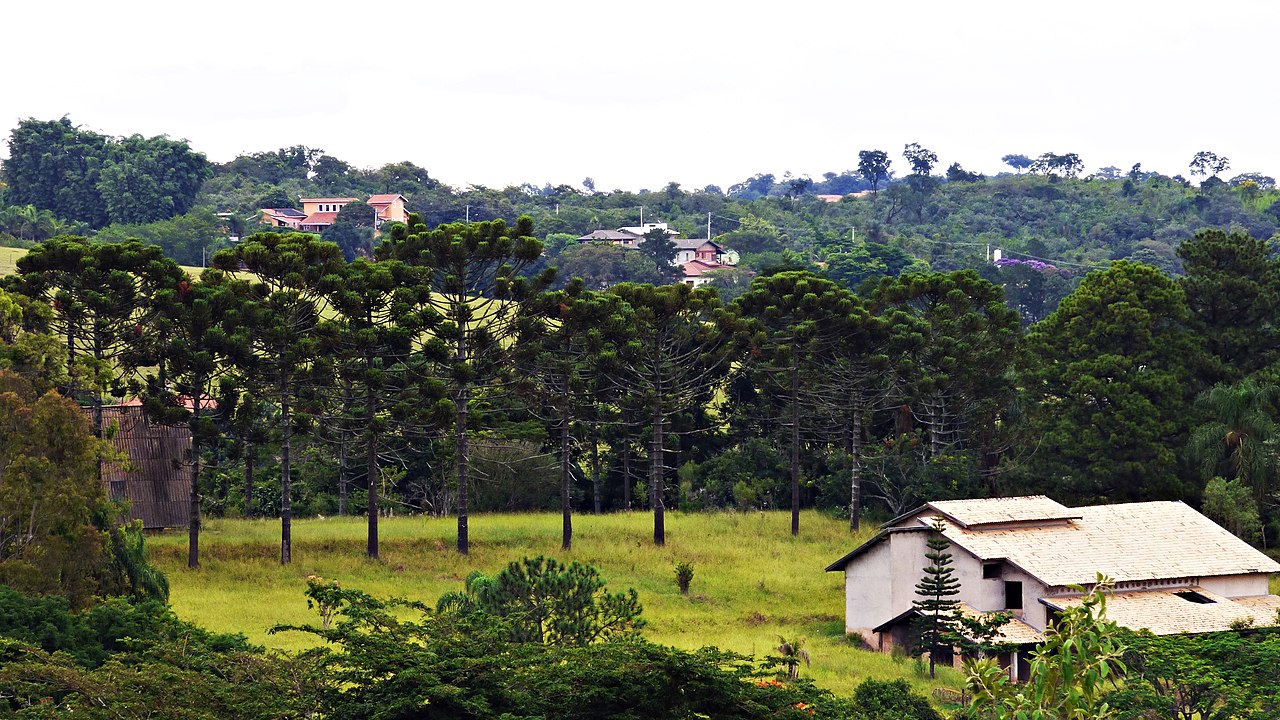 Vinhedo (SP) - 69,65 pontos - 
Cidade com alto padrão de vida, segurança e infraestrutura. Destaca-se pela tranquilidade e acesso a áreas verdes. Cultura e lazer são valorizados, com eventos importantes como a Festa da Uva.

