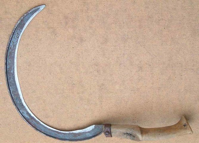 Uma mulher, cujo túmulo estava próximo ao da criança vampira, foi encontrada com um dedo do pé trancado com cadeado e uma foice de ferro no pescoço. 