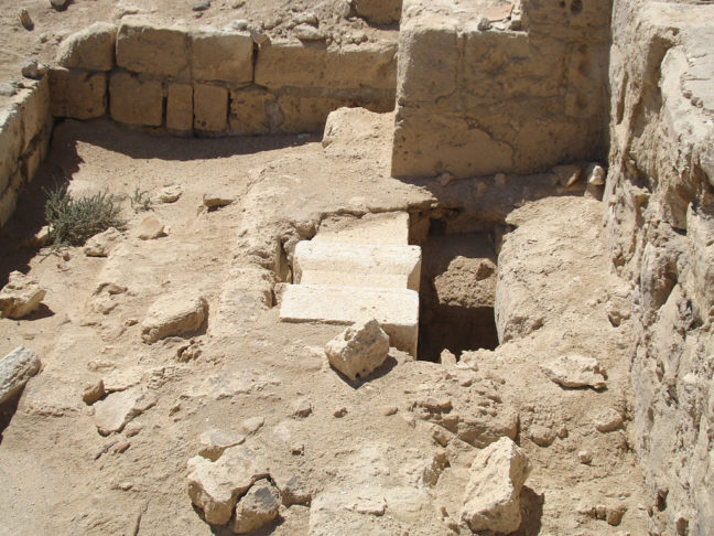Escavações arqueológicas revelaram que Marea era uma cidade bem planejada, com ruas organizadas, edifícios públicos e uma infraestrutura complexa. 