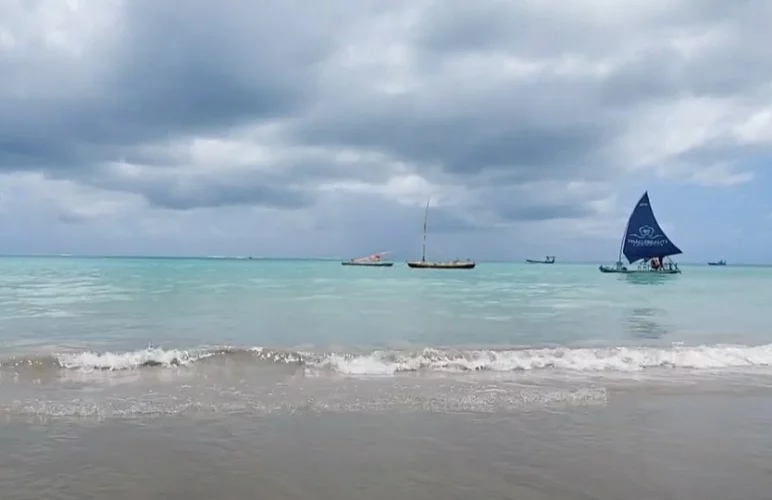 As piscinas naturais de Pajuçara, em particular, são um dos principais atrativos turísticos da cidade, onde é possível nadar em águas calmas e transparentes, observando peixes coloridos e corais.