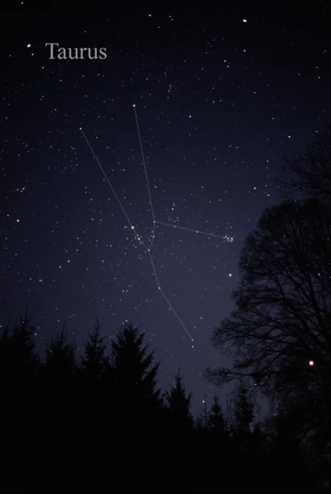 Touro (21/4 a 20/5) - Elemento terra. Primavera no hemisfério norte e outono no hemisfério sul. Características: Determinação, busca por conforto, praticidade, persistência, possessividade, conservadorismo. 