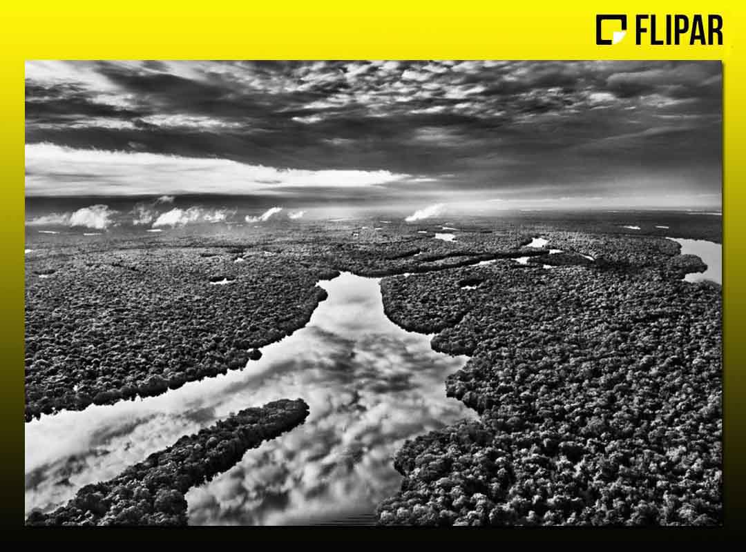 É um momento forte para apresentar esse trabalho. Precisamos lutar para preservar se ainda quisermos existir como espécie. Caso contrário, vamos desaparecer, alertou Salgado. 