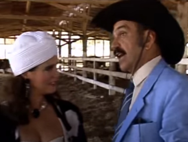 O primeiro lugar está para a novela que mais causou impacto e destaque no cenário nacional. Roque Santeiro é um personagem que todos habitantes da fictícia cidade de Asa Branca acham que está morto, mas que na verdade está vivo e retornando para a região. José Wilker, Regina Duarte, Yoná Magalhães e Ary Fontoura são só alguns dos grandes nomes dessa obra.