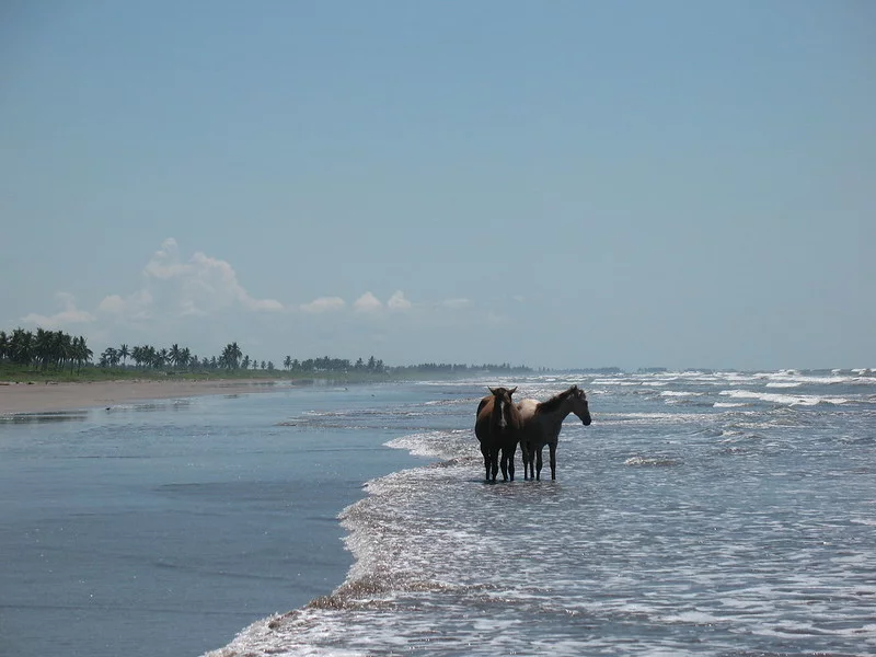 7ª Novillero - Nayarit - Mexico - 90km-  É a maior praia do México e o destino de muitos surfistas. 