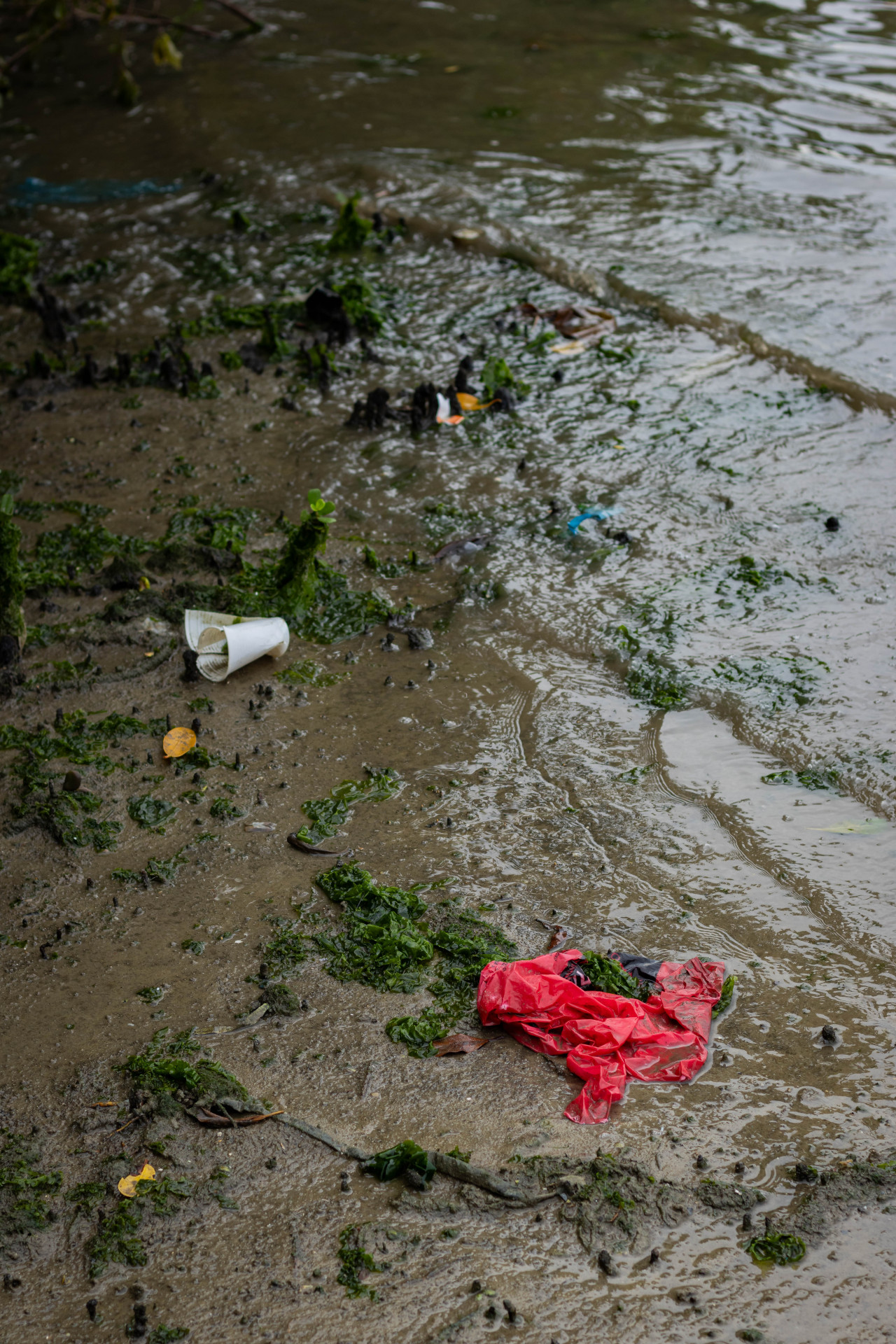 Lixo próximo ao rio Ceará