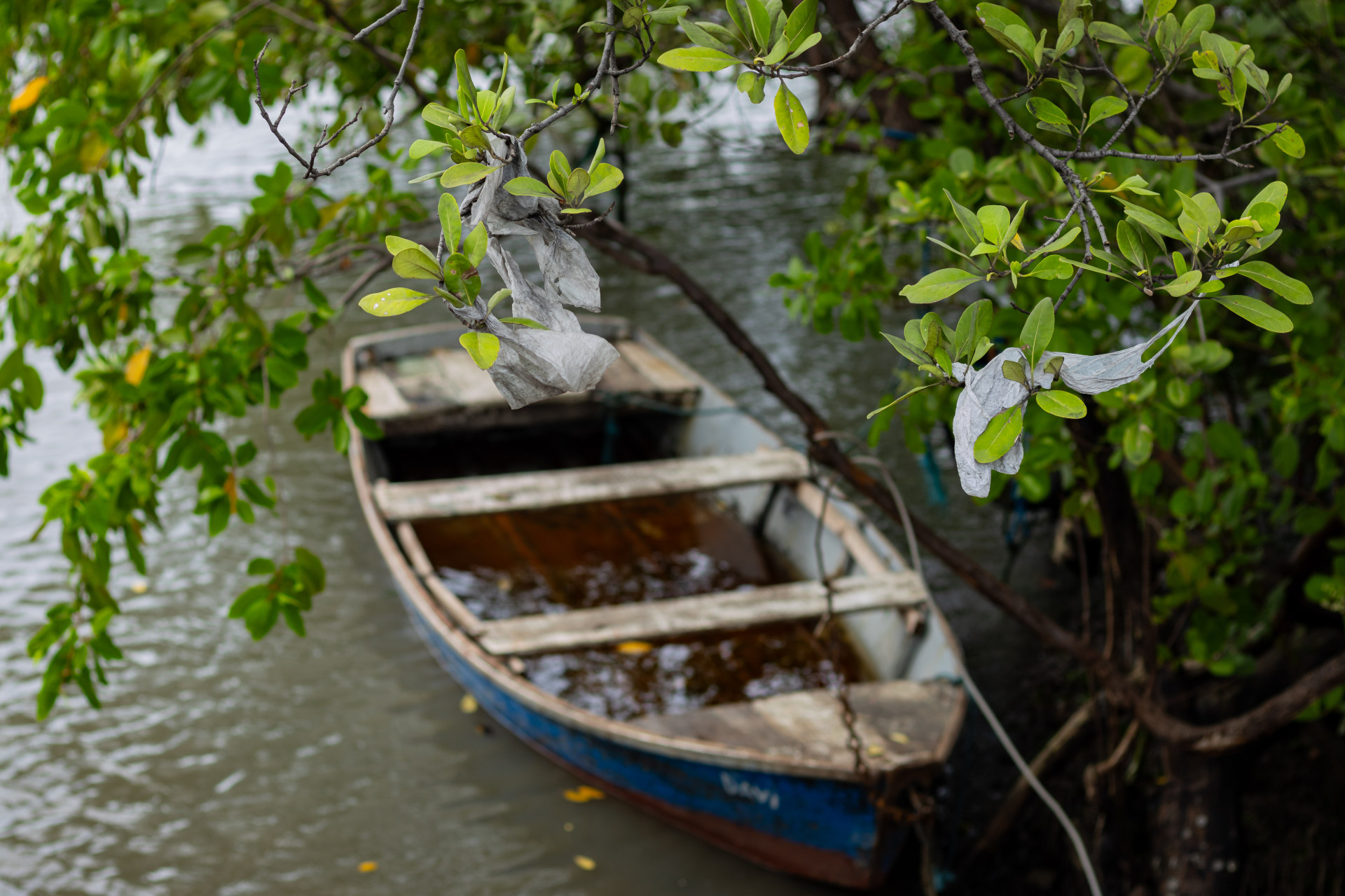 Lixo próximo ao rio Ceará