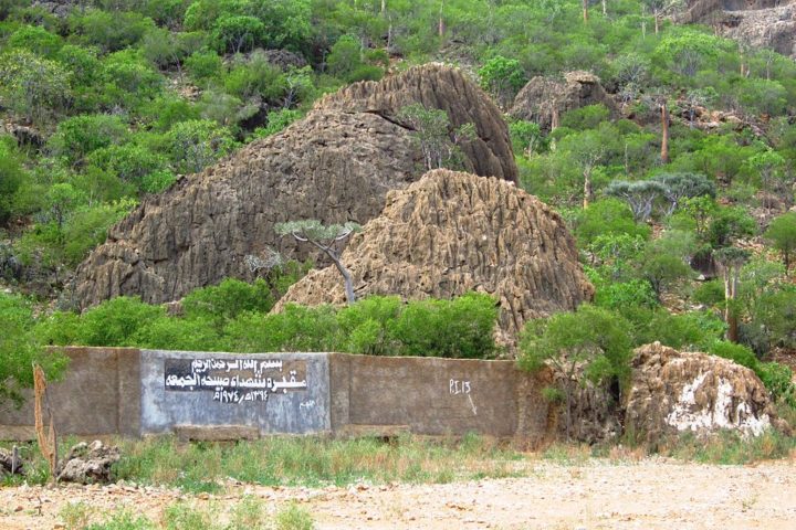 O idioma principal é o socotri, um dialeto semítico único, que reflete as influências da história de comércio e navegação da região.
