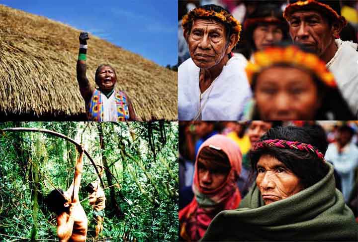 Paraguai: Povos como os Guarani representam uma parte essencial da cultura e língua do país, com o Guarani sendo cooficial. Apesar disso, muitas comunidades vivem em condições de vulnerabilidade. O governo implementa algumas políticas de inclusão, mas os desafios continuam.
