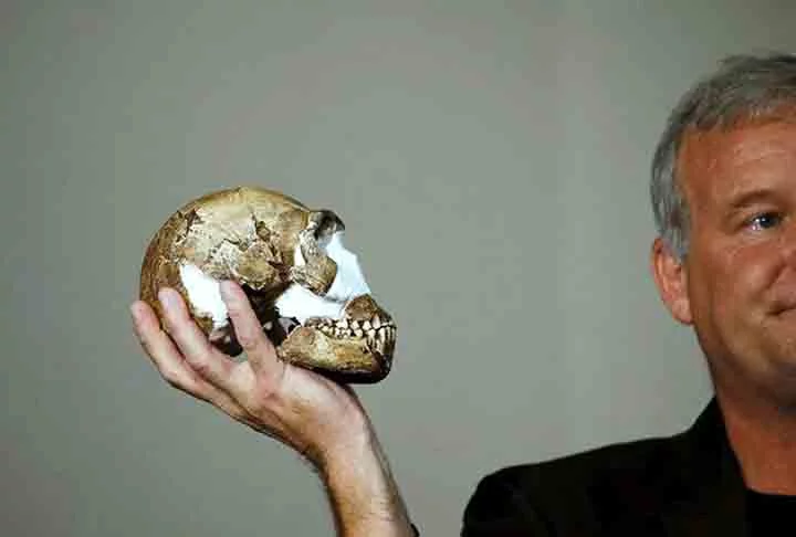 Revisão evolutiva - Após analisar 15 esqueletos de Homo Naledi descobertos em uma caverna da África do Sul, um grupo de cientistas contestou a tese de que essa espécie de hominídio tinha ações consideradas complexas, como enterrar os mortos e fazer decorações em sepulturas.

