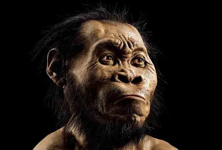 Os restos mortais de Homo Naledi foram encontrados sem nenhum sinal de elaboração ritualística, o que freou a hipótese de um novo roteiro nas teorias da evolução. A espécie foi identificada em 2015 e especulava-se que tinha hábitos elaborados de vida, o que não se confirmou.
