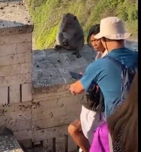 Em seguida, a mulher entrega o celular a um turista, proprietário do objeto.