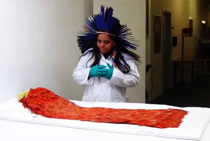 Senti tristeza e alegria. Uma mistura entre nascimento e morte. Os nossos antepassados dizem que quando [os europeus] nos tiraram o dinheiro, o nosso povo ficou sem rumo., disse Maria Yakuy Tupinambá, anciã da comunidade dos Tupinambá de Olivença.