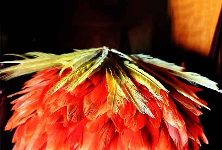 Essas capas provavelmente funcionavam como peles sobrenaturais, transferindo força vital de um organismo vivo para outro, disse Amy Buono, professora associada de história da arte na Universidade Chapman, ao The Guardian. 