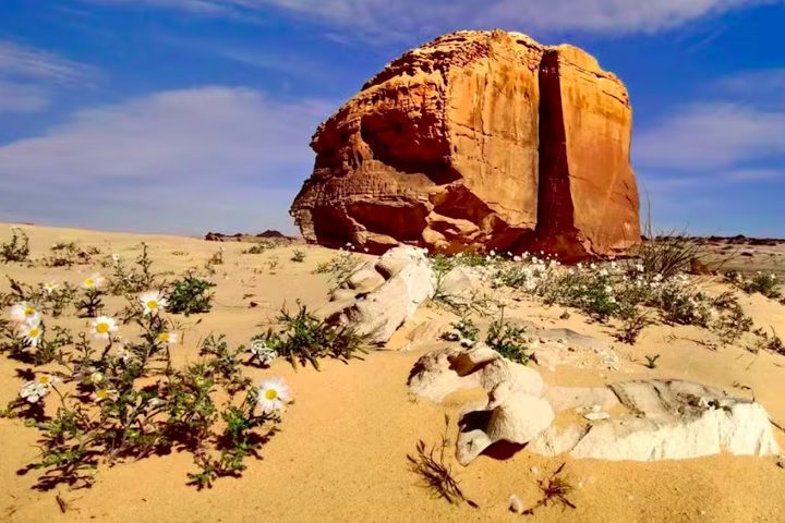 Embora os especialistas concordem que o fenômeno é natural, a origem precisa dessa separação permanece um mistério.