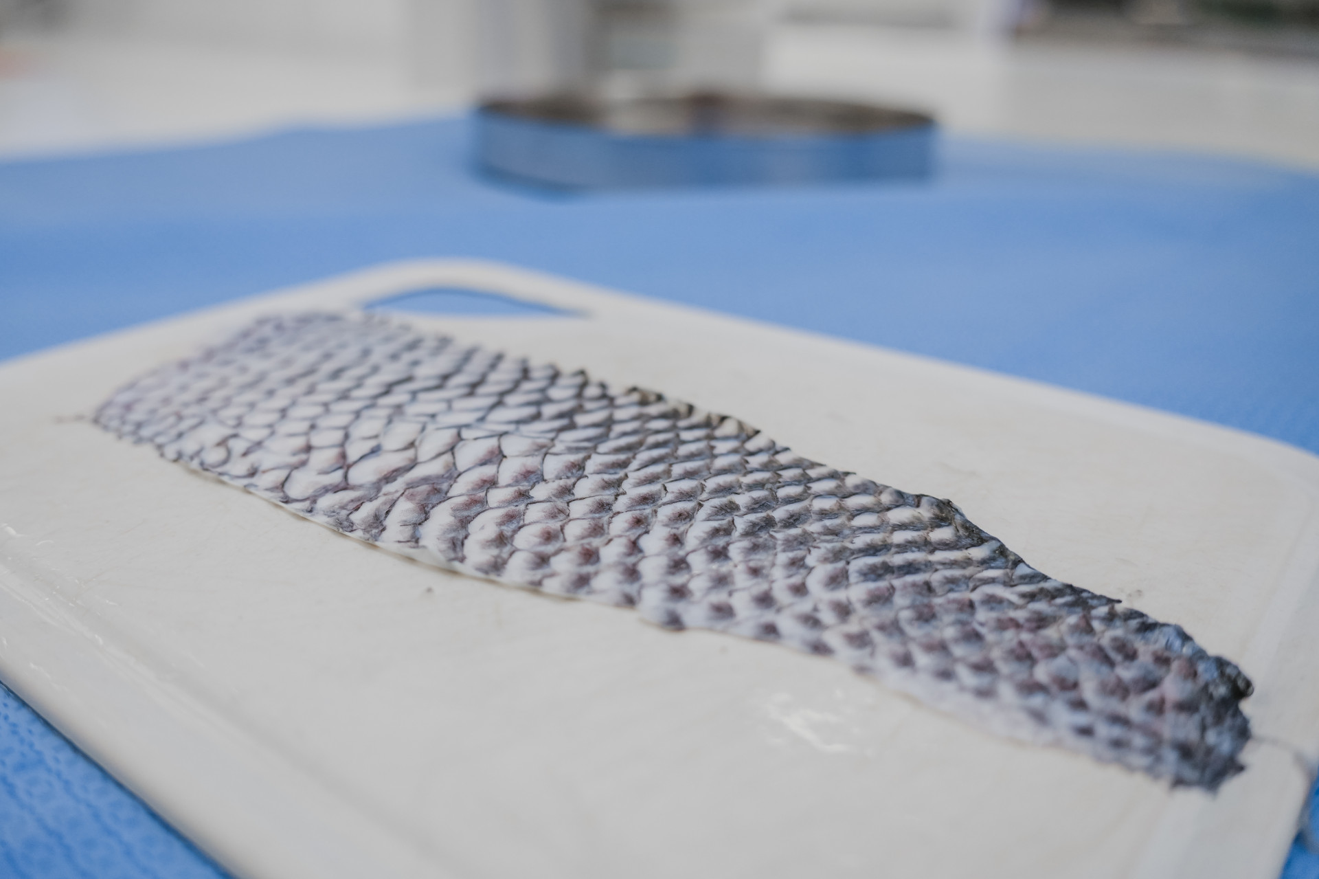 ￼CONSÓRCIO Biotec's deverá pagar R$ 850 mil  (Foto: FERNANDA BARROS)