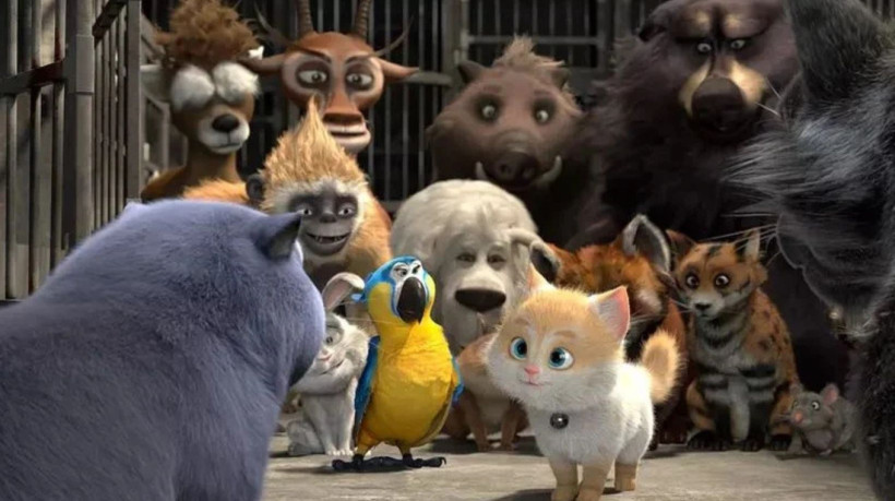 Um filme de animação vai passar na Sessão da Tarde hoje, quinta, 23 de janeiro de 2025 (23/01/2025) às 15h25min (horário de Brasília), na TV Globo