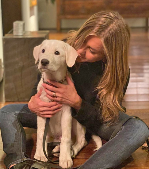 Jennifer Joanna Aniston nasceu nas proximidades de Los Angeles, em 11 de fevereiro de 1969. Além de atriz, ela também é empresária e produtora. Ela é filha dos atores Nancy Dow e John Aniston (morto em 2022). 