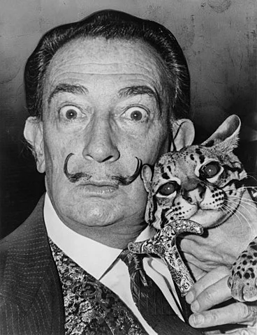 Um artista único. Excêntrico,  provocante, ousado e com um traço de talento raro. Salvador Dalí morreu em 23/1/1989, aos 84 anos, deixando um legado espetacular.