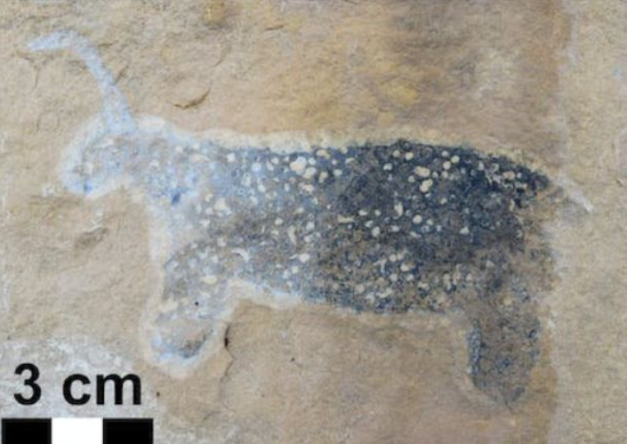 Para os indígenas da etnia San, animais de um só chifre sãoi considerados os que trazem a chuva.  Então, tem tempos de seca, sacrificar o animal fazia parte de um ritual pedindo por chuva. É mais uma crença que envolve a mitologia dos unicórnios. 