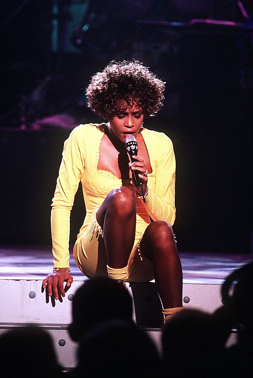 Conhecida como “The Voice” (“A Voz”),Whitney Houston nasceu em Nova Jersey, nos Estados Unidos, e teve uma vida marcada por diversas polêmicas e controvérsias. Confira algumas!