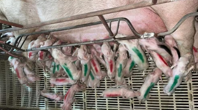 Caso ocorreu na última quarta-feira, 22