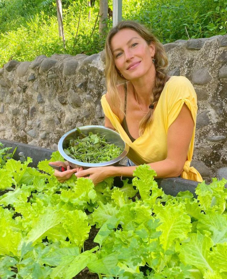 Além disso, Gisele é embaixadora do UNEP, o programa das Nações Unidas para o meio ambiente. Nas redes sociais, ela dá dicas ecológicas e até ensina culinária “eco-friendly”.