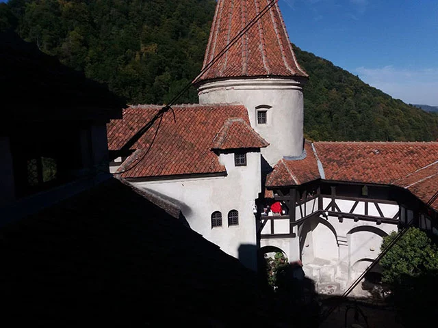 Drácula é classificado como horror gótico, pela ambientação que inclui castelos medievais e símbolos místicos do século XVIII.  