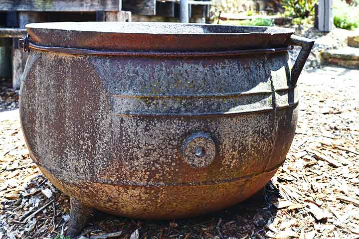 Na ocasião, os dois caldeirões foram descobertos casualmente. Afinal, dois pastores na província de Khovsgol se depararam com os objetos, enquanto trabalhavam em uma cerca para um curral de cavalos.