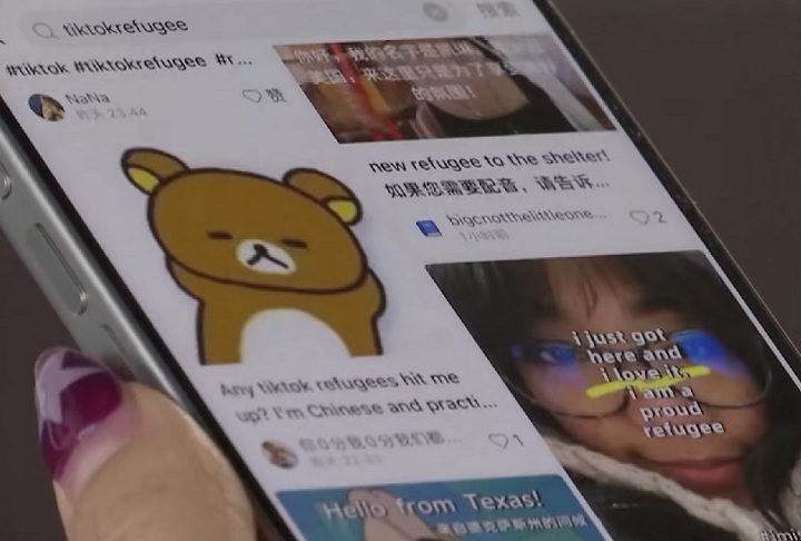 “Este aplicativo é muito fofo e tem sido muito divertido até agora”, descreveu um usuário.