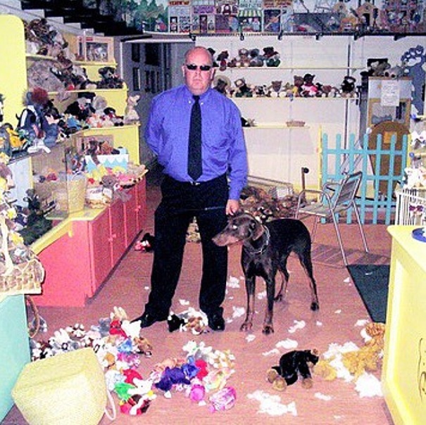 A atenção especial de Greg West à pelúcia de Elvis teria sido o gatilho para a crise de ciúmes do doberman, que durou cerca de 10 minutos e que culminou na demissão de Barney.