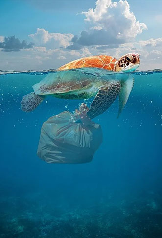 O plástico tem sido um dos principais problemas para a Ecologia, causando não apenas danos ambientais, mas mortes de animais marinhos, que engolem o plástico espalhado pela água. 