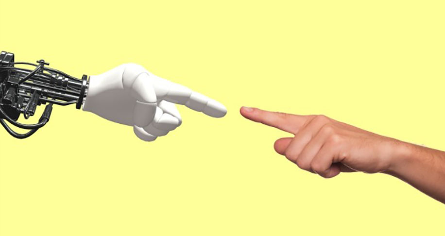 Os cientistas dizem que os xenobots não sobreviveriam fora do laboratório, são facilmente extintos e passam por monitoramento permanente de especialistas em ética.