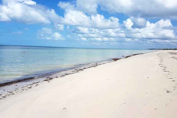 O Golfo do México possui jazidas de recursos minerais e é uma região com presença de correntes marítimas quentes.
