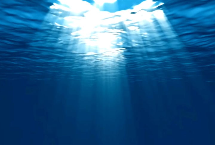 José usou o rádio para entrar em contato com seu chefe e avisar sobre o problema. Mas logo em seguida o aparelho queimou. Em seguida, o chefe mandou uma equipe de busca, mas não encontrou a dupla de pescadores.